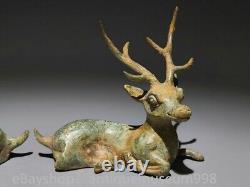 6 Chine ancienne dynastie de bronze animaux Prunier cerf statue sculpture paire