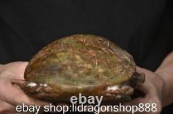 6 Chine ancienne montagne rouge culture jade tortue statue sculpture