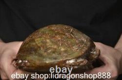 6 Chine ancienne montagne rouge culture jade tortue statue sculpture