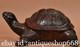 8 Ancienne Chine Bronze Sculpture Feng Shui Tortue Tortue Statue Chanceuse