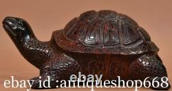 8 ancienne Chine bronze sculpture Feng Shui tortue tortue statue chanceuse