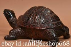 8 ancienne Chine bronze sculpture Feng Shui tortue tortue statue chanceuse