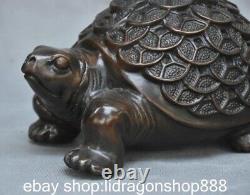 8 statue de richesse de tortue et de tortue en bronze ancien chinois