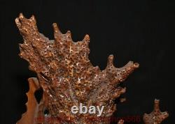 9.6 Chine ancienne sculpture en bois de buis sculpture corail poisson statue