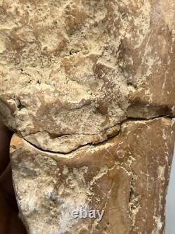 Ancienne statue en terre cuite du Gandhara Pakistan, sculpture murale du Gand