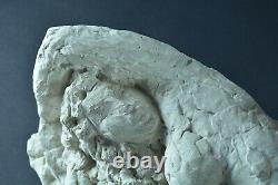 Ancienne statue sculpture en plâtre atelier étude nu féminin allongé Maternité
