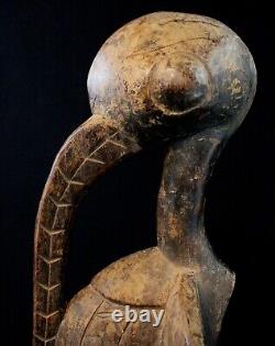 Art Africain Ancien Calao Kalao Senoufo Senufo Hornbill Côte d'Ivoire 59 Cms
