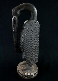 Art Africain Ancien Kalao Calao Oiseau Senoufo Senufo Hornbill 56 Cms ++++++