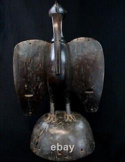 Art Africain Ancien Oiseau Calao Hornbill Senoufo Senufo Casque Cimier 50 cms