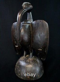 Art Africain Ancien Oiseau Calao Hornbill Senoufo Senufo Casque Cimier 50 cms