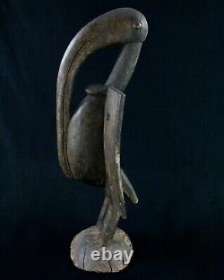 Art Africain Tribal Ancien Calao Oiseau Senoufo Senufo Hornbill 56 Cms +++++