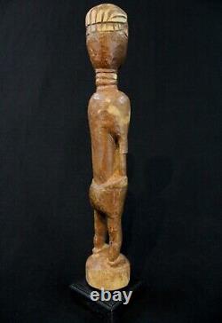 Art Africain Tribal Ancienne et Authentique Statue Agni Anyi sur Socle 30 Cms
