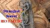 Baffling Ancient Oopart In India Strange Idols Of Ramappa Temple