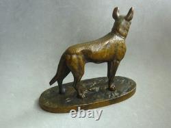 Bronze Ancien Berger Allemand. Jules Moigniez