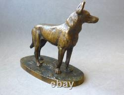 Bronze Ancien Berger Allemand. Jules Moigniez