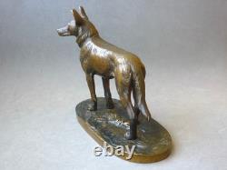 Bronze Ancien Berger Allemand. Jules Moigniez
