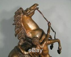 Daprès Coustou Cheval De Marly Sculpture Ancienne Bronze