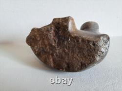 Hippopotame ancienne sculpture pierre hippopotames x 5 statues