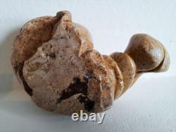 Hippopotame ancienne sculpture pierre hippopotames x 5 statues