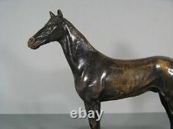 Kaolin Cheval Étalon Pur-sang Sculpture Bronze Ancien (d'après) Alfred Dubucand