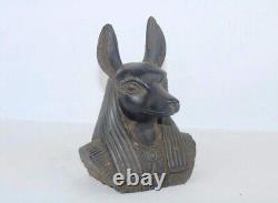 Rare ancienne statue égyptienne ancienne de tête Anubis dieu des morts dans l