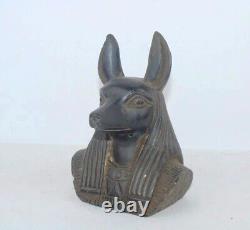 Rare ancienne statue égyptienne ancienne de tête Anubis dieu des morts dans l