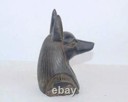 Rare ancienne statue égyptienne ancienne de tête Anubis dieu des morts dans l
