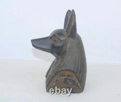Rare ancienne statue égyptienne ancienne de tête Anubis dieu des morts dans l