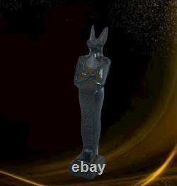 Rare statue antique égyptienne antique Anubis stand Égypte ancienne BC