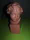 Statue Sculpture Buste Enfant Jeune Fille T&ecirc;te Pl&acirc;tre Patine Ancien