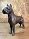 Statue Sculpture Bronze Animalier Ancien, Grand Chien Boxer, Xixème, 1,650kg