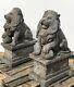 Statues De Lions En Pierre (la Paire) Anciennes Sur Socle
